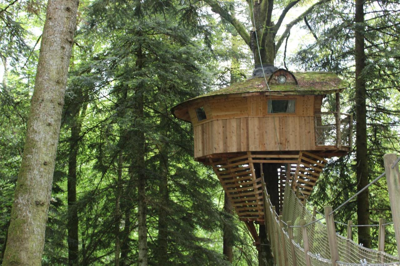 Domaine De Syam - Gites, Chambres D'Hotes & Cabanes Exteriér fotografie