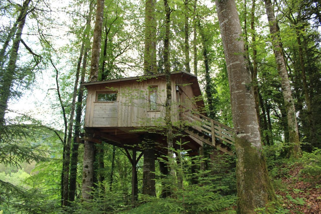 Domaine De Syam - Gites, Chambres D'Hotes & Cabanes Exteriér fotografie